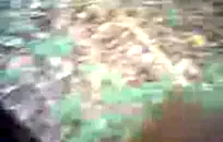 في سن المراهقة الهزات قبالة الديك و cums في كل مكان